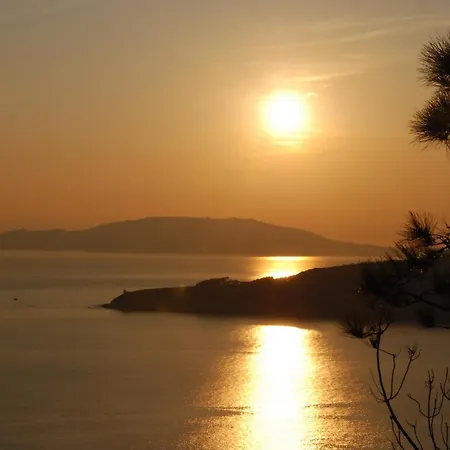 De Naturaleza Av (adults Only) 2* Ameixenda